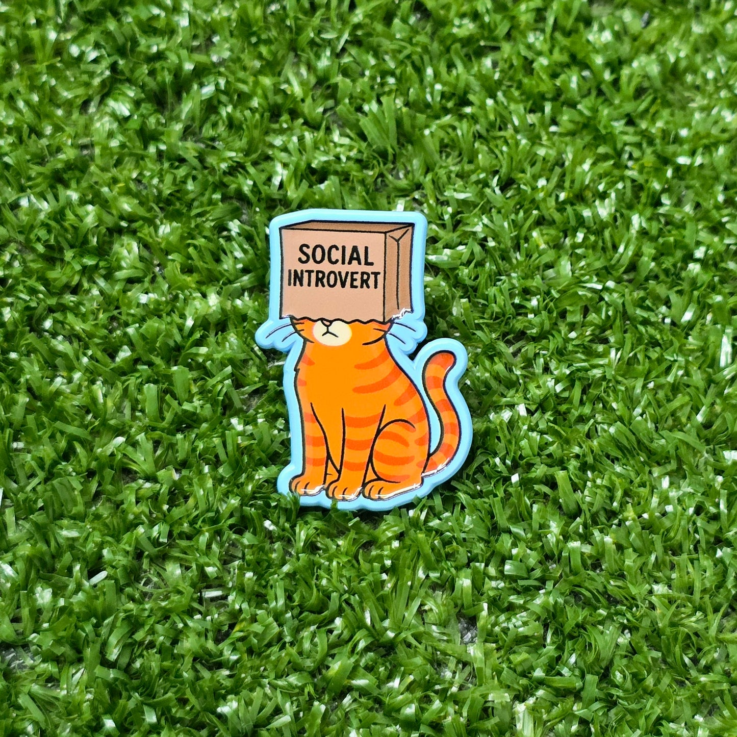 Social Introvert