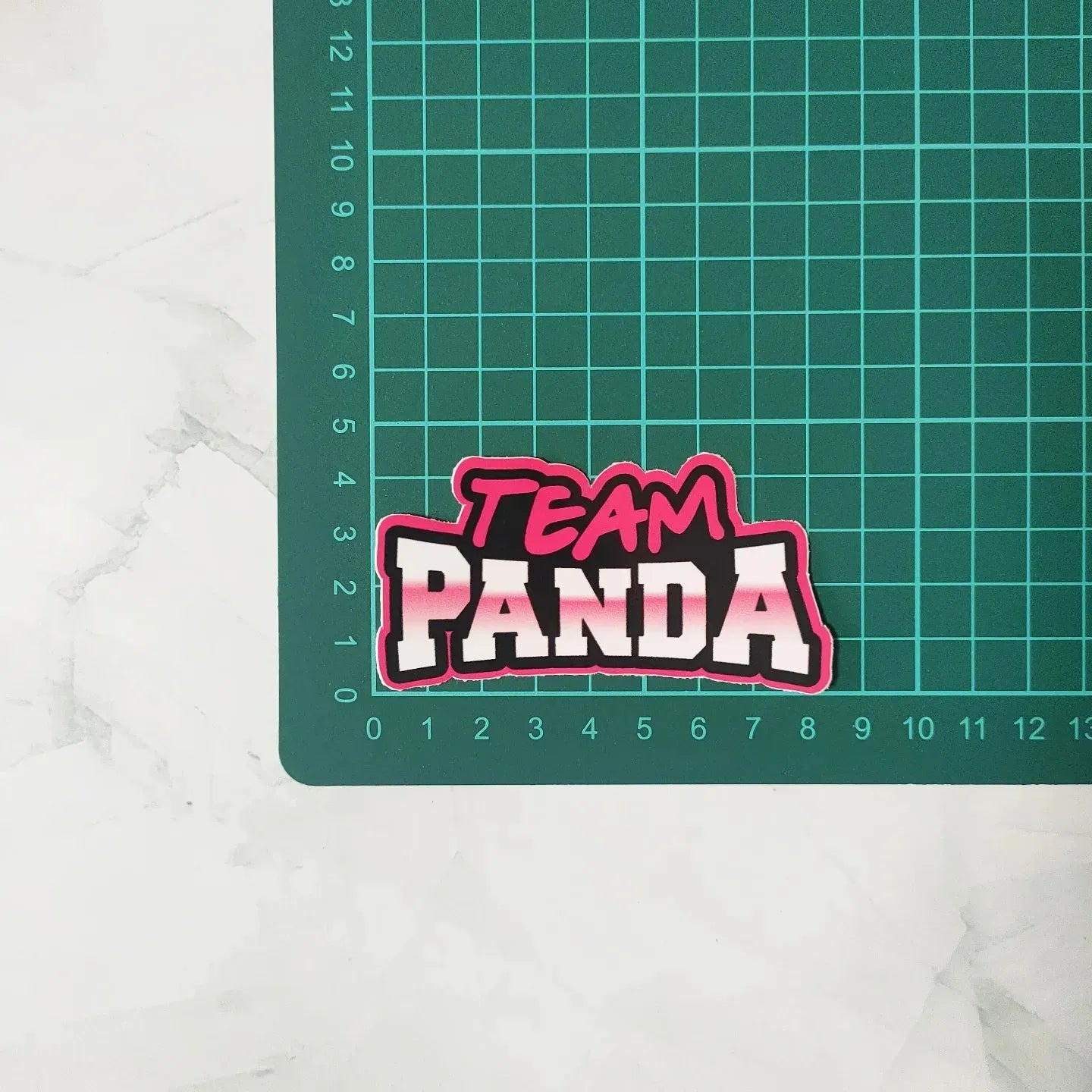 Foodpanda Rider #01