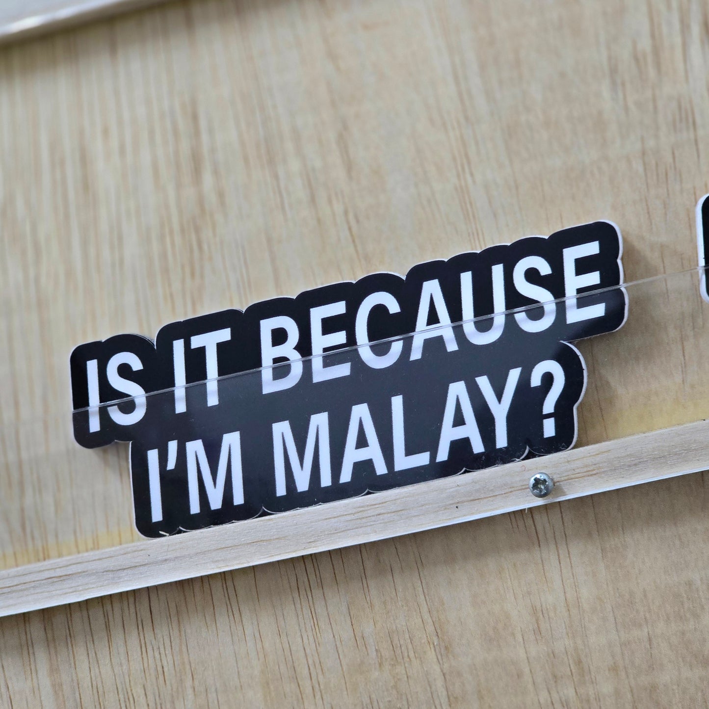 Is It Because I'm Malay