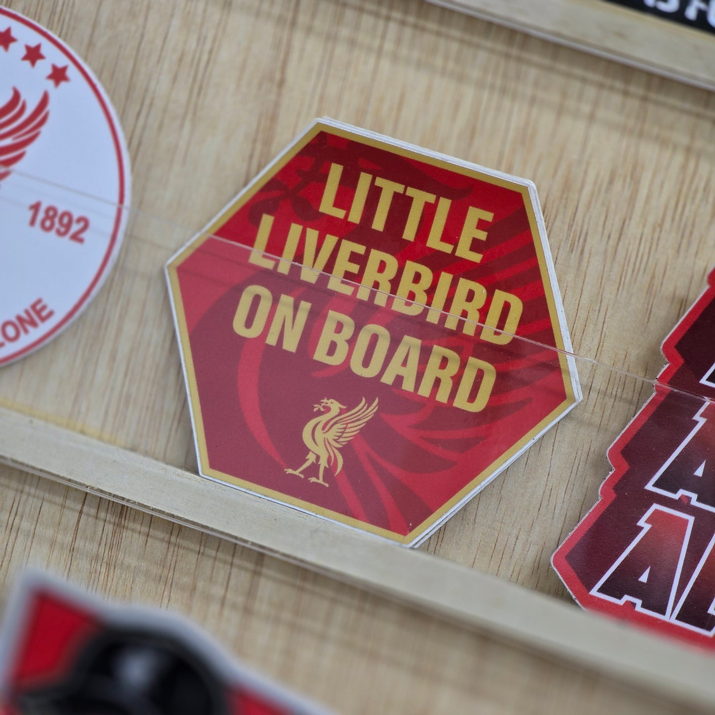 Little Liverbird On Board