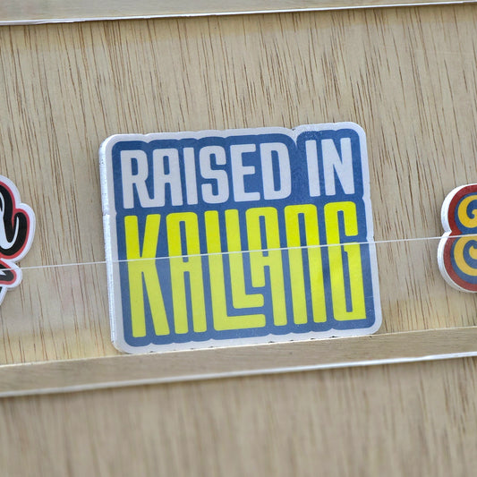 Raised In Kallang