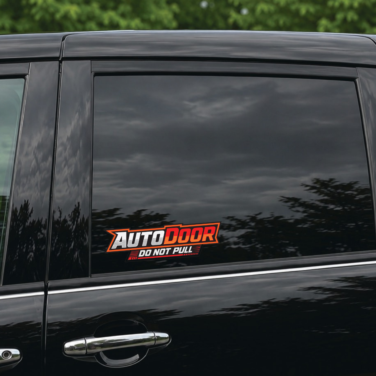 Auto Door - Do Not Pull